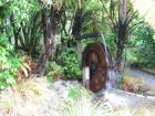 thumbs/IMG_3602.jpg