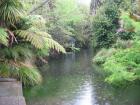 thumbs/IMG_3604.jpg