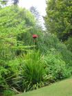 thumbs/IMG_3605.jpg