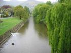 thumbs/IMG_3610.jpg