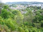 thumbs/IMG_3615.jpg