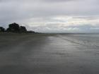 thumbs/IMG_3633.jpg