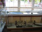 thumbs/IMG_3862.jpg