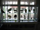 thumbs/IMG_3864.jpg