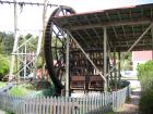 thumbs/IMG_3876.jpg