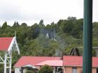 thumbs/IMG_3890.jpg
