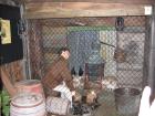 thumbs/IMG_3896.jpg