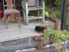 thumbs/IMG_3901.jpg