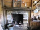 thumbs/IMG_3902.jpg
