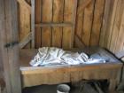 thumbs/IMG_3903.jpg