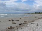 thumbs/IMG_3922.jpg