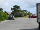 thumbs/IMG_3924.jpg