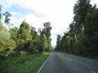 thumbs/IMG_3936.jpg