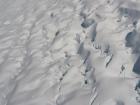 thumbs/IMG_3993.jpg