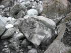thumbs/IMG_4074.jpg