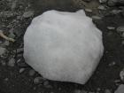 thumbs/IMG_4084.jpg