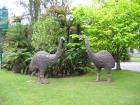 thumbs/IMG_4100.jpg