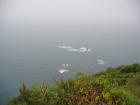thumbs/IMG_4110.jpg