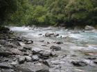 thumbs/IMG_4116.jpg