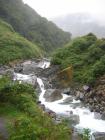 thumbs/IMG_4123.jpg