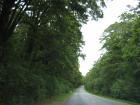 thumbs/IMG_4140.jpg