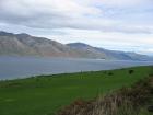 thumbs/IMG_4153.jpg