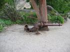 thumbs/IMG_4174.jpg