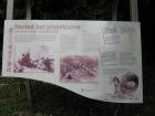 thumbs/IMG_4245.jpg