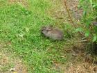thumbs/IMG_4250.jpg