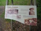 thumbs/IMG_4254.jpg