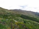 thumbs/IMG_4299.jpg