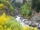 thumbs/IMG_4315.jpg