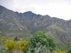 thumbs/IMG_4389.jpg