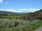 thumbs/IMG_4416.jpg