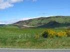 thumbs/IMG_4417.jpg
