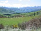 thumbs/IMG_4418.jpg