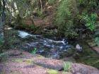 thumbs/IMG_4432.jpg