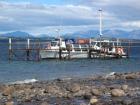 thumbs/IMG_4438.jpg