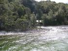 thumbs/IMG_4443.jpg