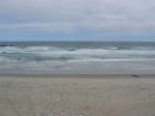 thumbs/IMG_4489.jpg