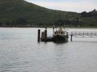 thumbs/IMG_4537.jpg