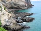 thumbs/IMG_4542.jpg