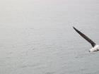 thumbs/IMG_4546.jpg
