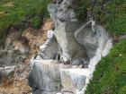 thumbs/IMG_4550.jpg