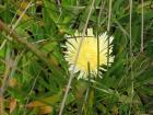 thumbs/IMG_4552.jpg