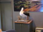thumbs/IMG_4556.jpg