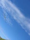 thumbs/IMG_4561.jpg