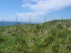 thumbs/IMG_4565.jpg