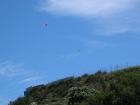 thumbs/IMG_4590.jpg