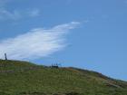 thumbs/IMG_4591.jpg